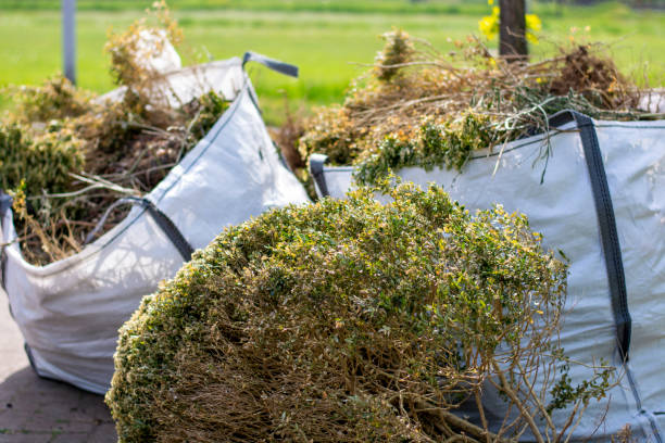 Best Office Junk Removal  in Lemont, IL