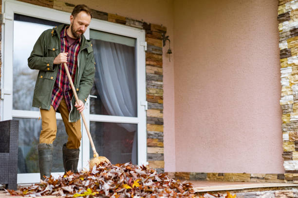 Best Electronics Removal Services  in Lemont, IL