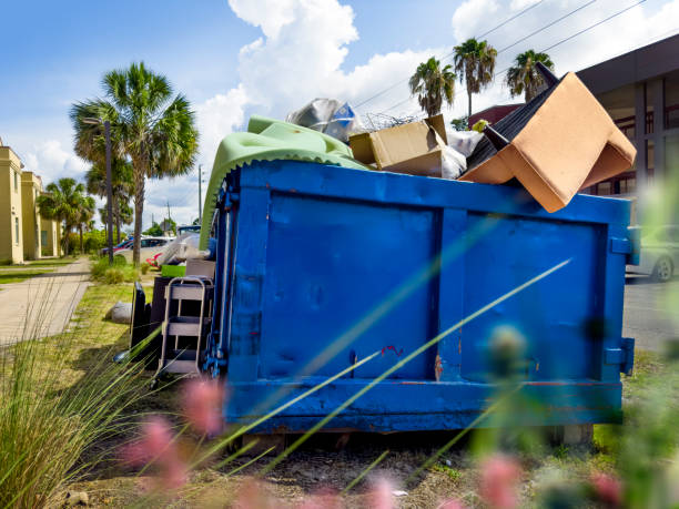 Best Dumpster Rental Services  in Lemont, IL